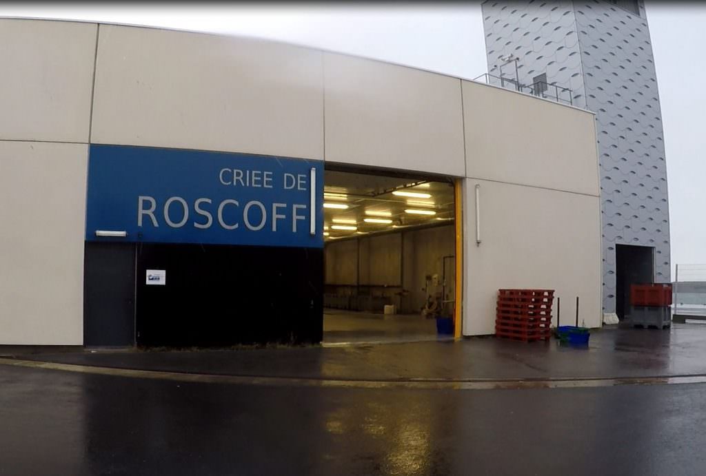 criee-roscoff