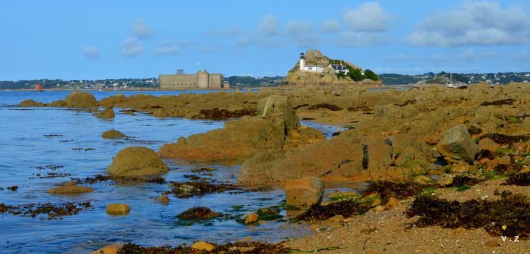 chateau-taureau