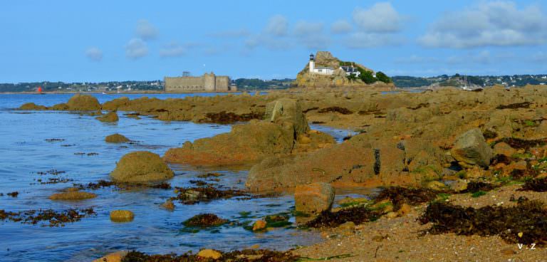 chateau-taureau