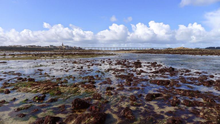 peche-a-pied-roscoff