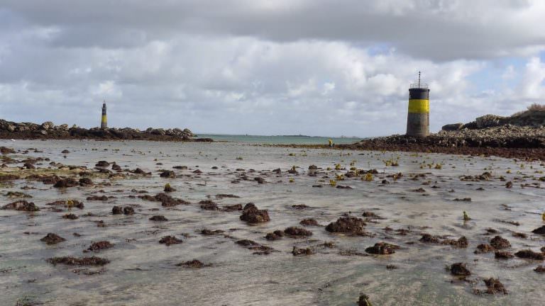 peche-a-pied-roscoff