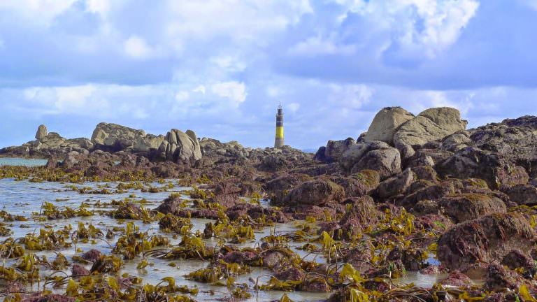 peche-a-pied-roscoff