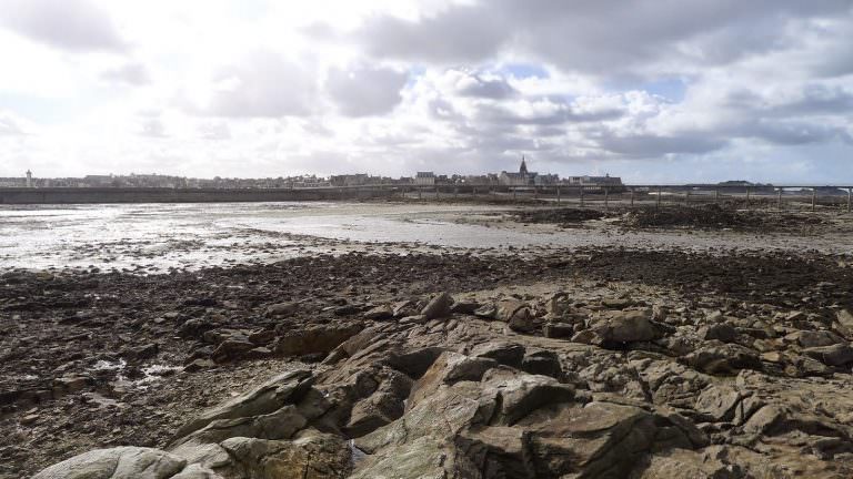 peche-a-pied-roscoff