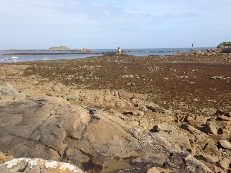 peche-a-pied-roscoff