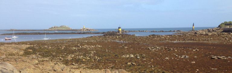 peche-a-pied-roscoff