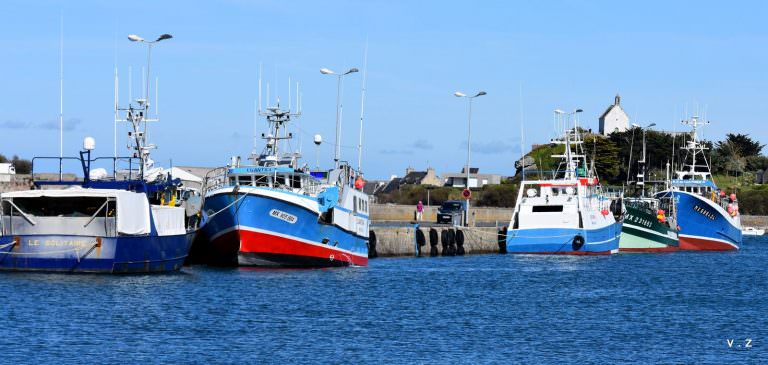 vieux-port-de-roscoff