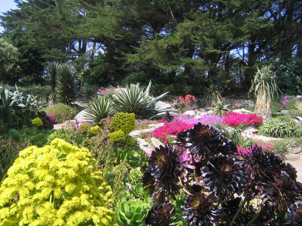 jardin-delaselle-batz
