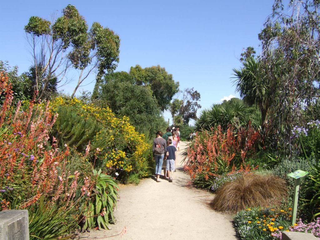 jardin-exotique-roscoff