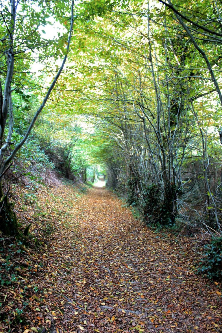 Lampaul-Guimiliau Luzec, GR 380