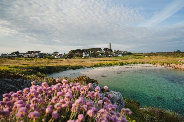 idbimg 4063_445 Île de Batz ©Thibault Poriel