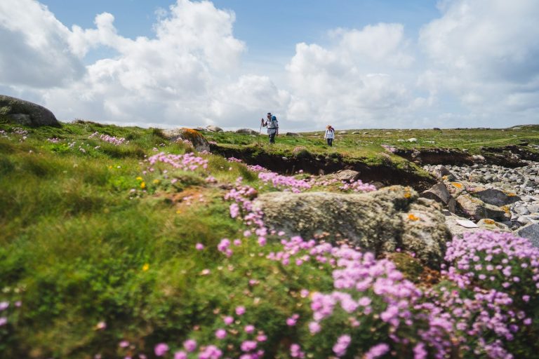 idbimg 4079_265 Île de Batz ©Thibault Poriel