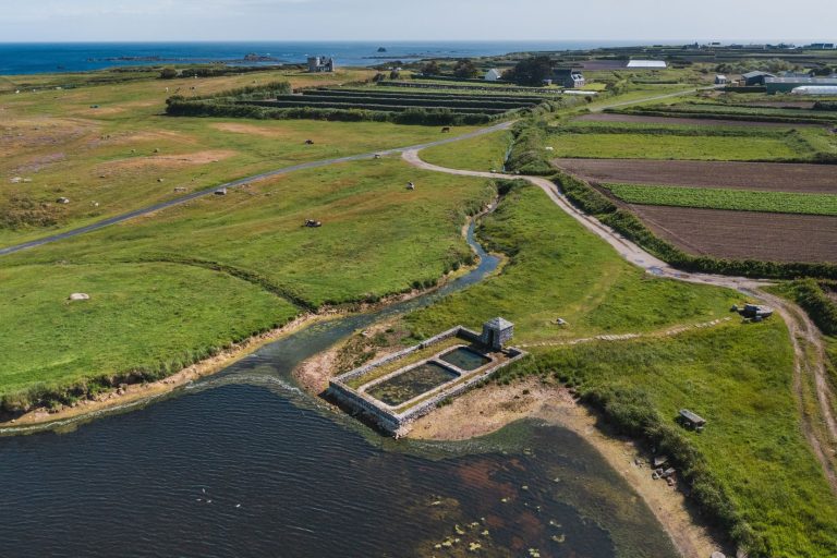 idbimg 4081_238 Île de Batz ©Thibault Poriel