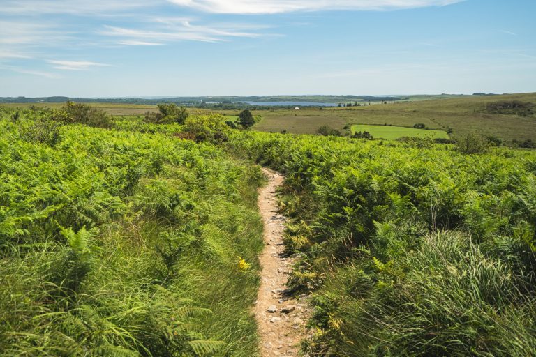 Commana, sentier vers les Monts d'Arrée  ©T.Poriel