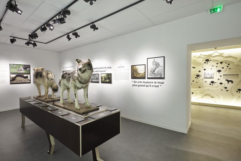 Musée du Loup