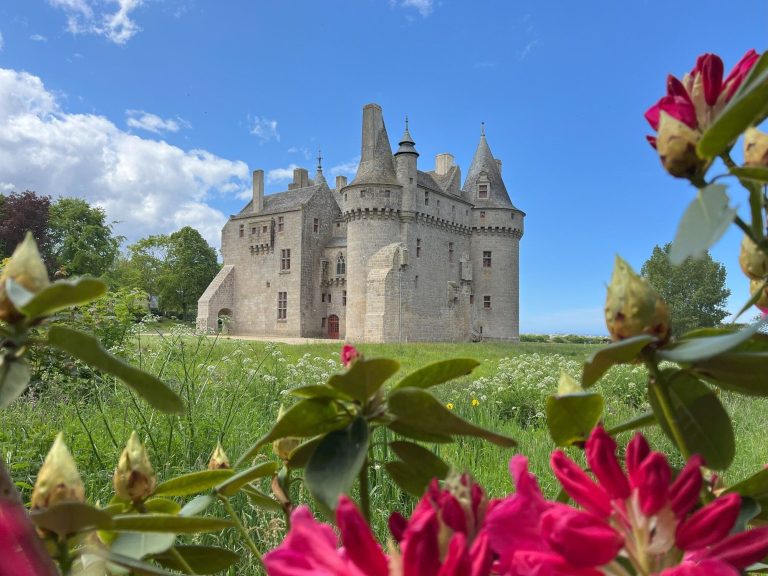 château de Kérouzéré - vue rhodo rouge sud est