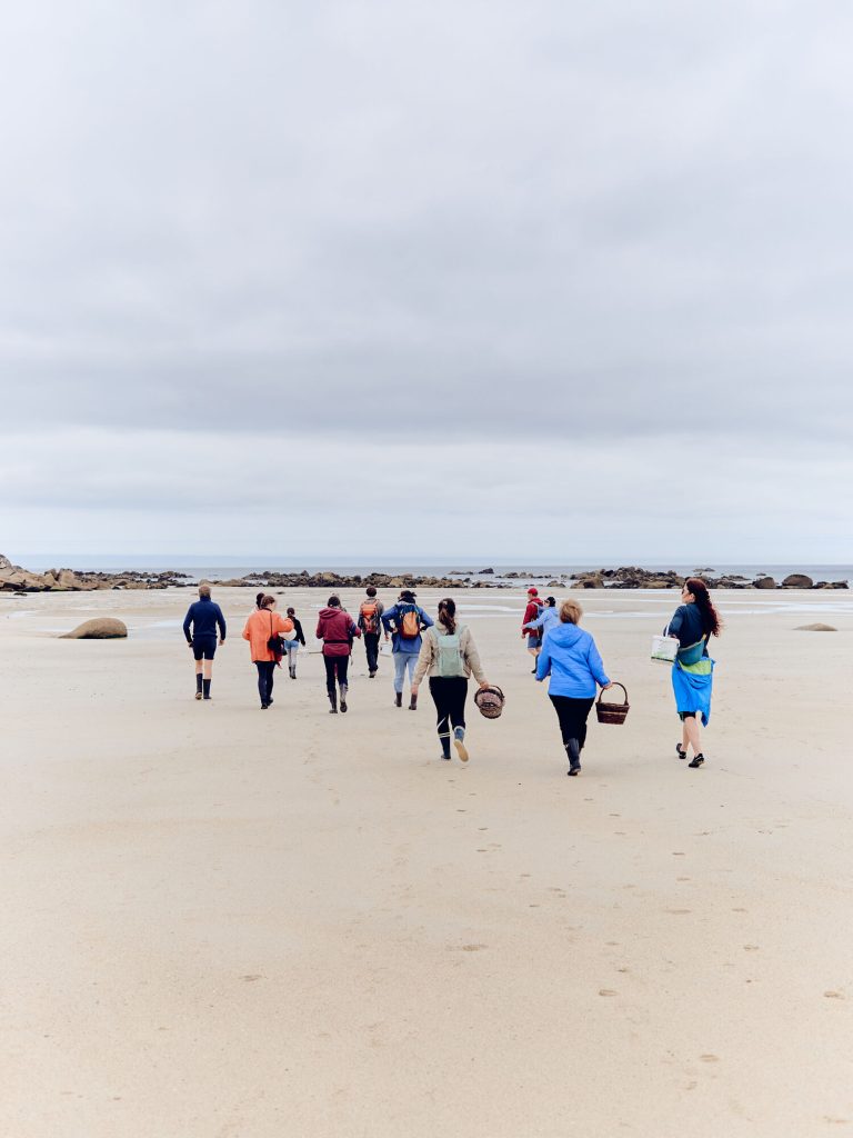 cueilleurs_dalgues_bs_01