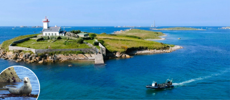 Visuel Aber Wrach Odyssee