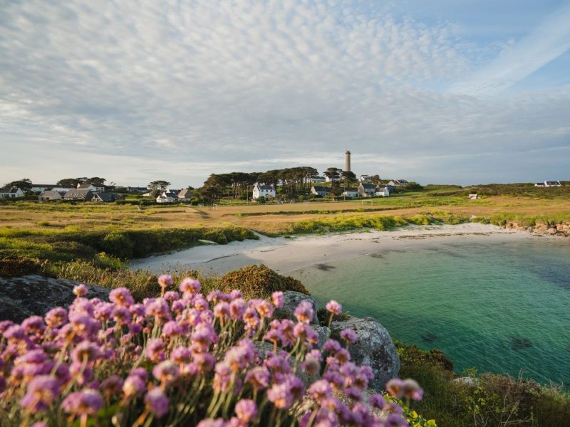 idbimg 4063_445 Île de Batz ©Thibault Poriel