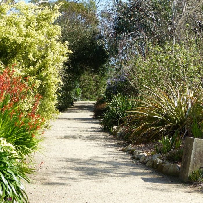 jardin-exotique-roscoff