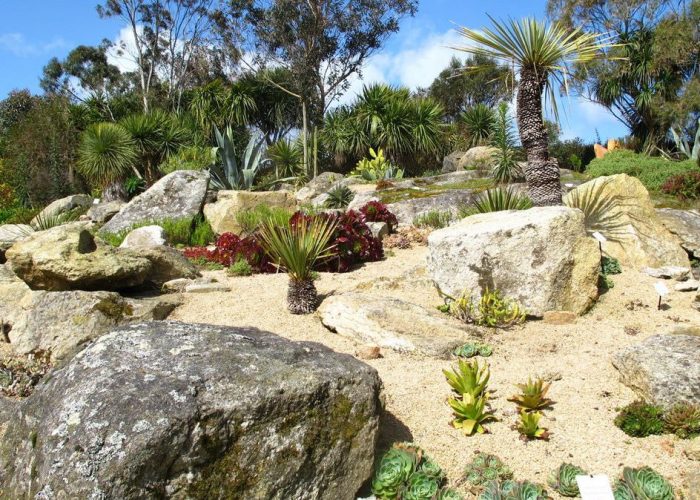 jardin-exotique-roscoff