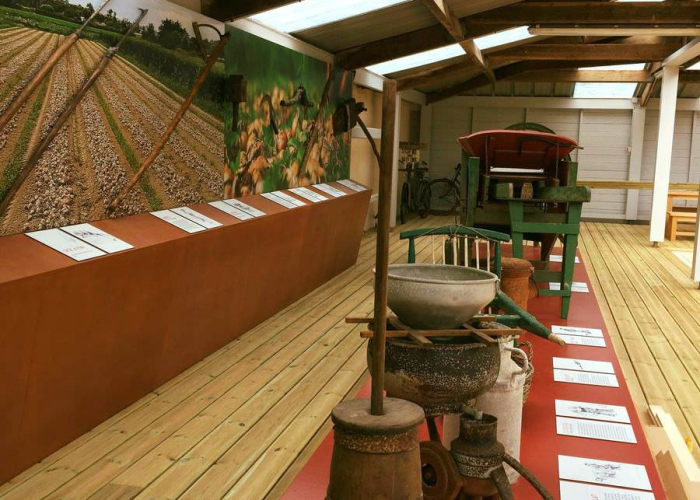 maison-des-johnnies-roscoff