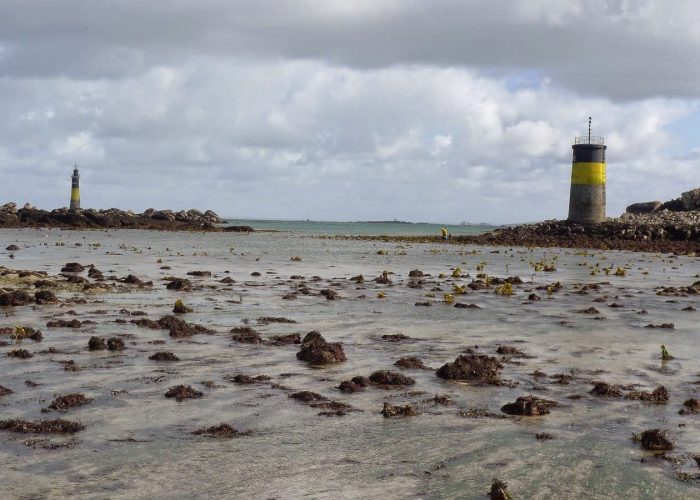 peche-a-pied-roscoff