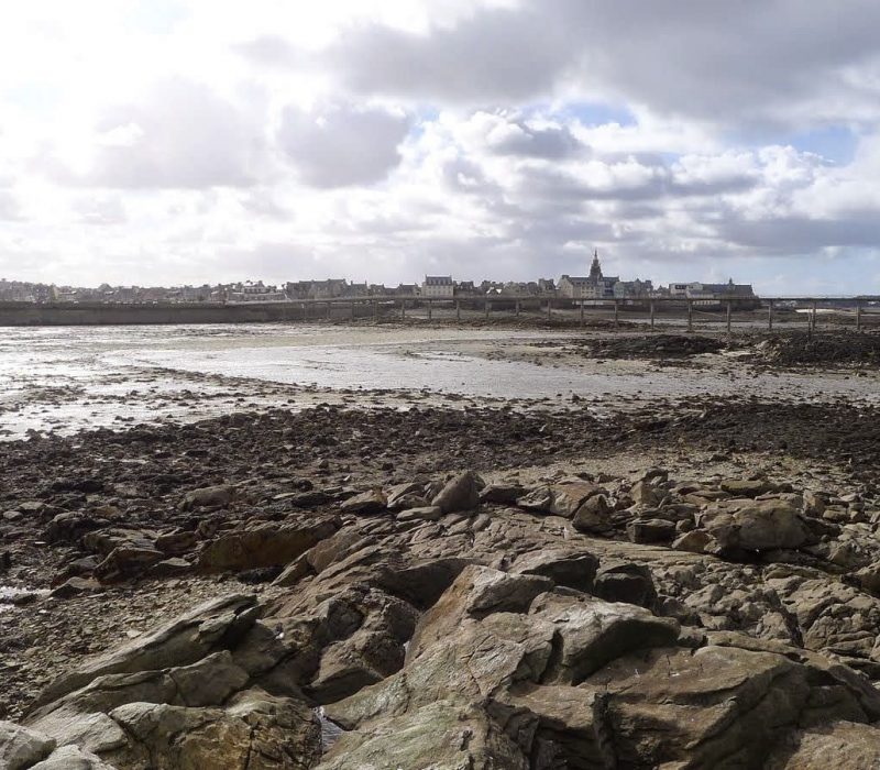 peche-a-pied-roscoff