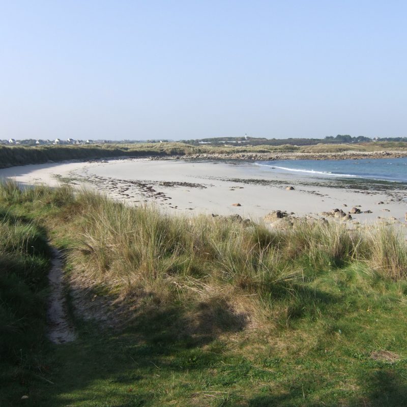 Plougoulm- cordon dunaire de Theven Pen An Dour 2