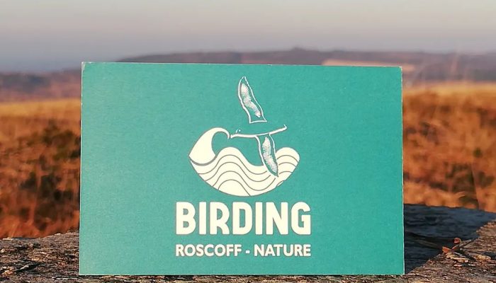 roscoffbirdingnature_2022